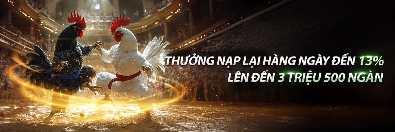 Đội ngũ hỗ trợ khách hàng chuyên nghiệp của MISO88